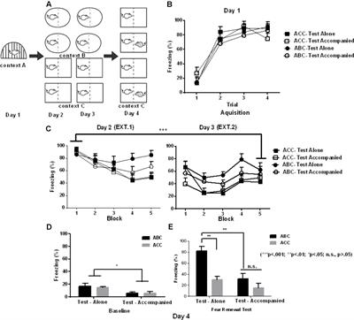 Social Company Disrupts Fear Memory Renewal: Evidence From Two Rodent Studies